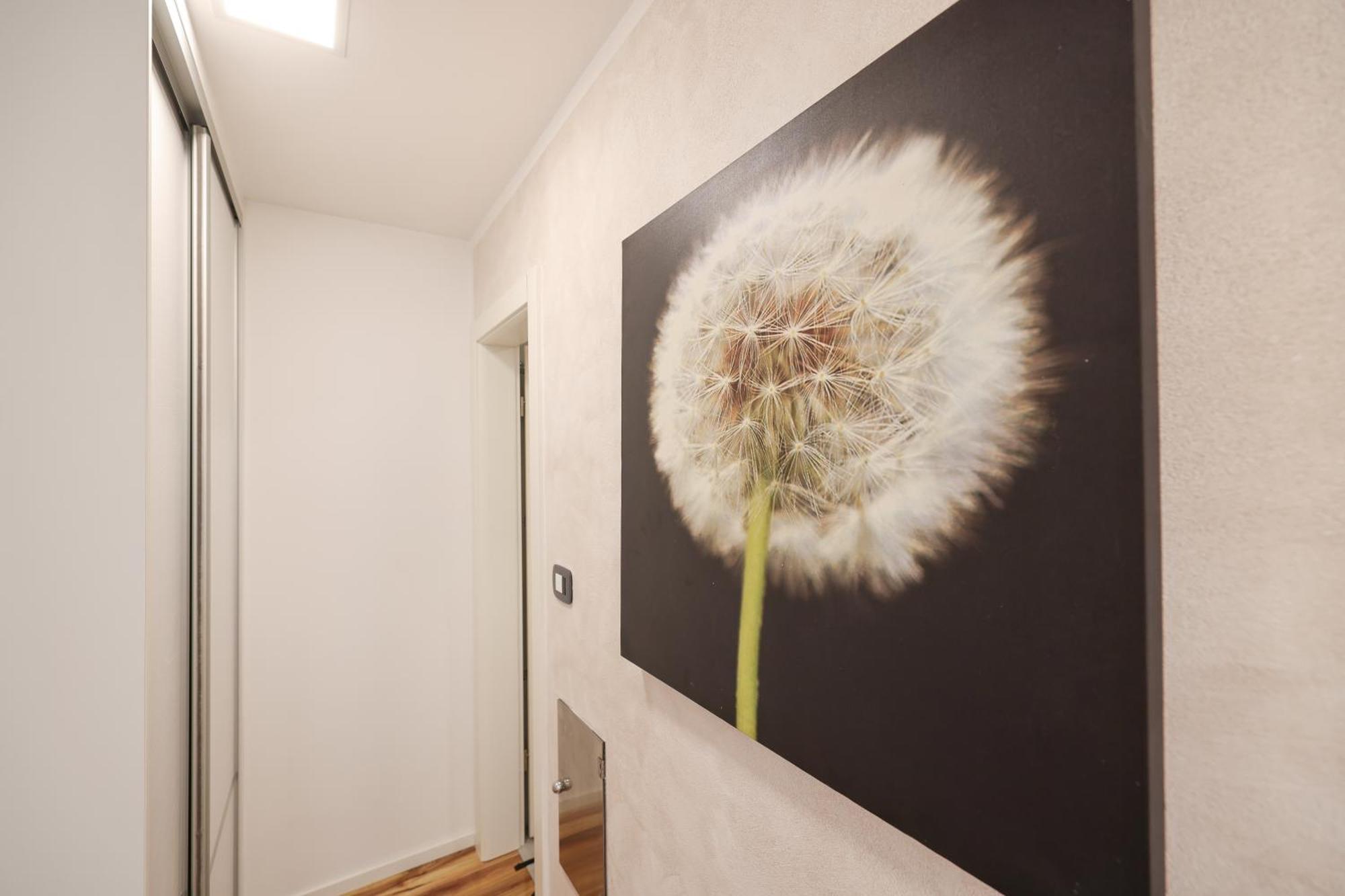 Apartment Anita Zadar Eksteriør billede